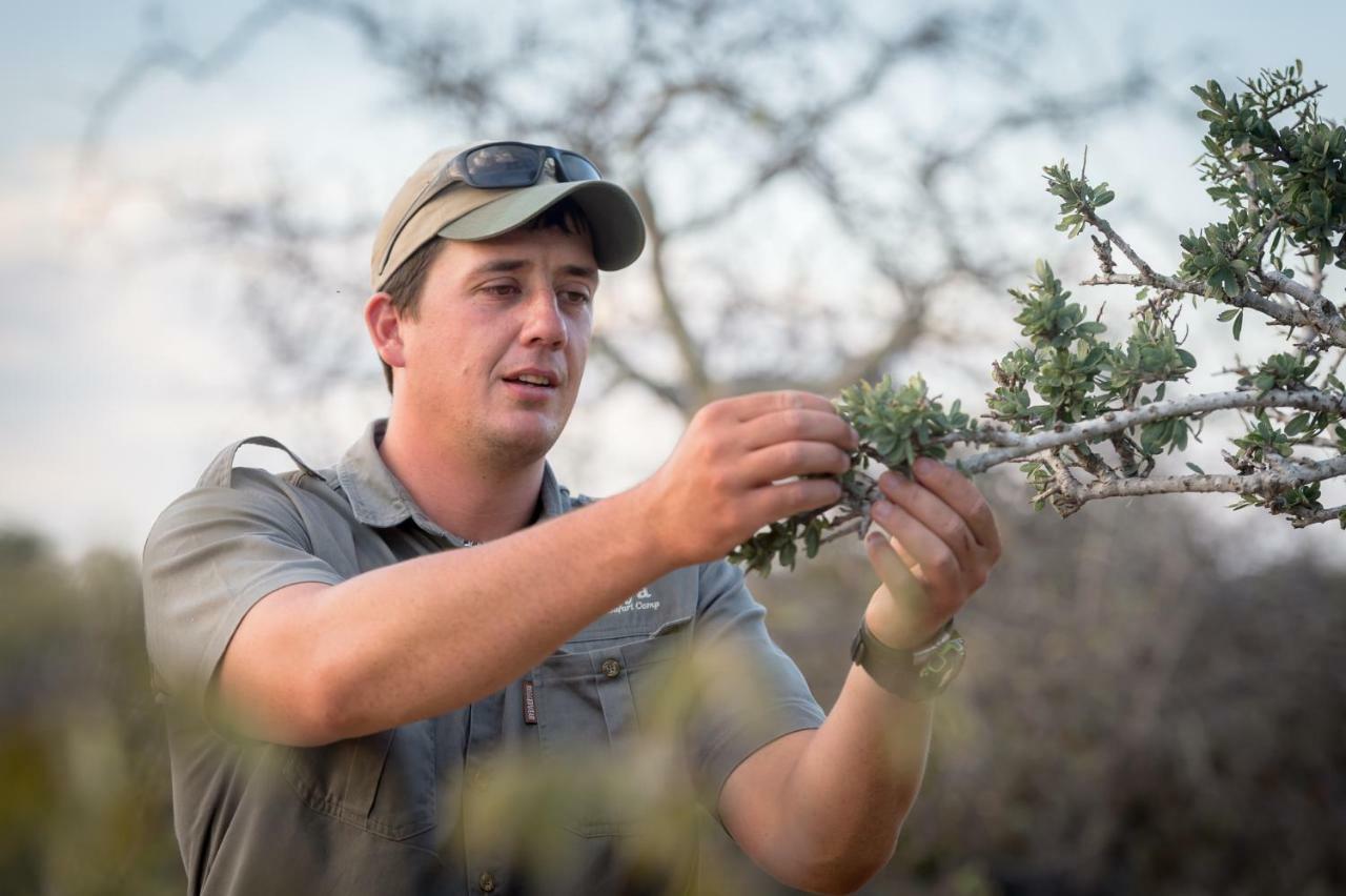 Rukiya Safari Camp Villa Hoedspruit Bagian luar foto